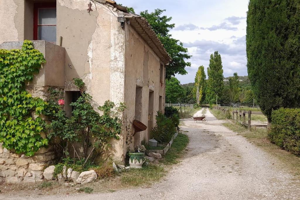 Chambres D'Hotes, Domaine Les Peupliers, Lagnes Exterior photo