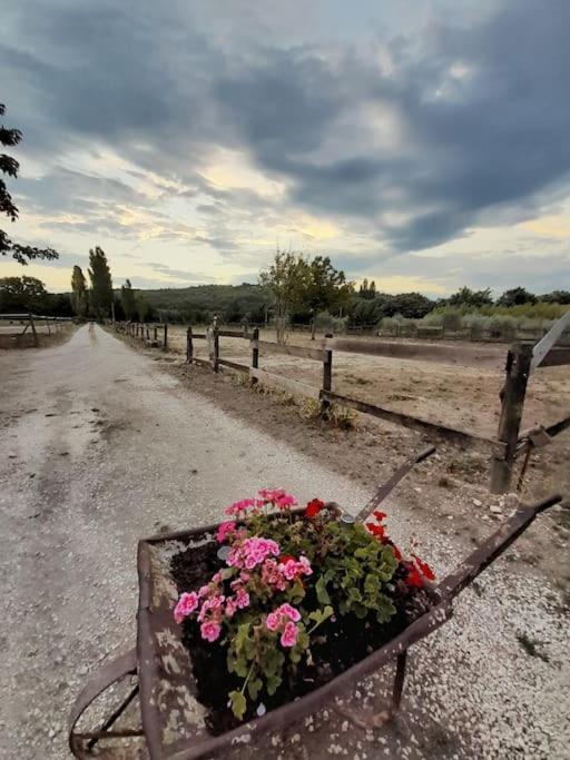 Chambres D'Hotes, Domaine Les Peupliers, Lagnes Exterior photo